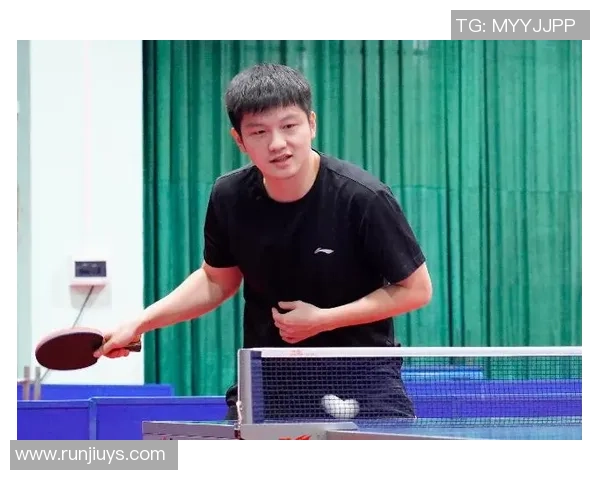 深圳乒乓球队在全国耐力排行榜中荣获第二名引发热议